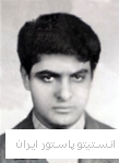 پرویز نجفی